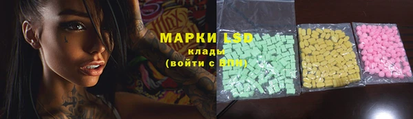 прущие грибы Алзамай