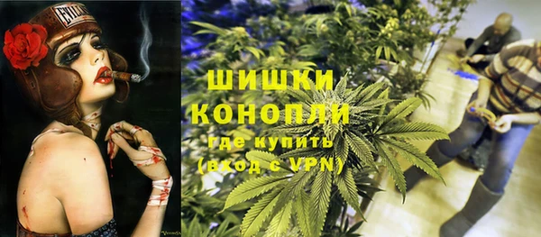 сатива Алексеевка