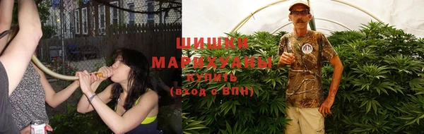 прущие грибы Алзамай