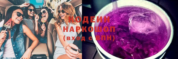 прущие грибы Алзамай