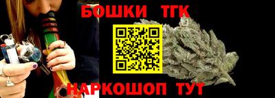 шишки Лесосибирск