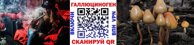 Псилоцибиновые грибы мицелий  Бирск 