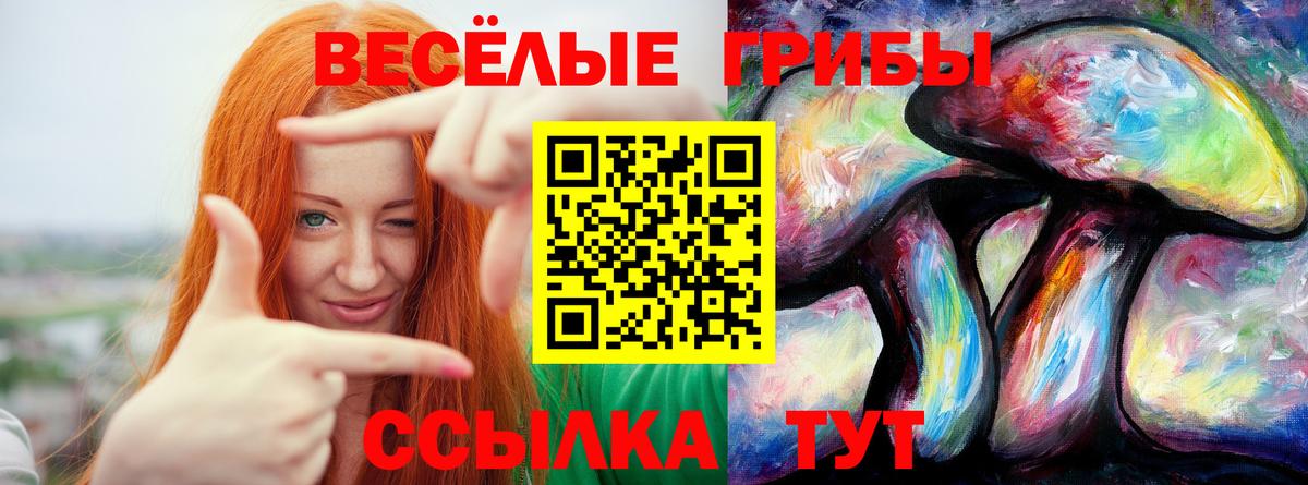 Галлюциногенные грибы Psilocybine cubensis Бирск